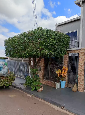 Poda de Árvore Fachada Residencial